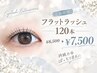 【持続力◎ぱっちり目元に★】フラットラッシュ120本　￥8500→￥7500
