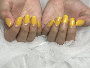 秋桜./ワンカラー
