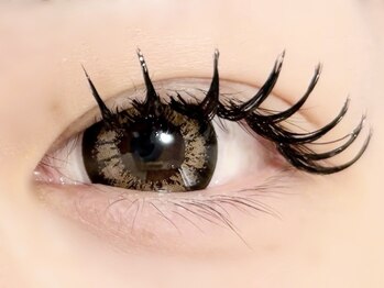 プレモ(Premo)/バインドロック120束