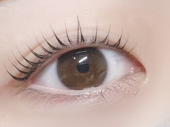 エミーアイラッシュ 大通店(Emii Eyelash)/まつげパーマ/立ち上げカール