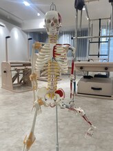 ピケピラティス 高田馬場店(pique pilates)/人体模型います