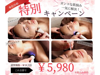 リッカ(Ricca)の写真