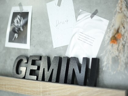 ジェミニ(GEMINI)の写真