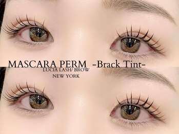 ルシアラッシュブロウ 新宿(LUCIA LASH BROW)/【韓国で話題マスカラパーマ♪】