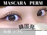 韓国大流行!!マスカラパーマ☆ブラックティント付き♪パリジェンヌOK♪5000