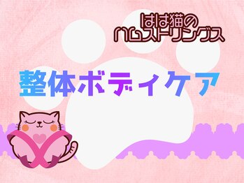 はは猫のハムストリングス/◆柔軟性の回復/整体ボディケア