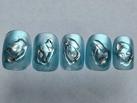 定額premium course