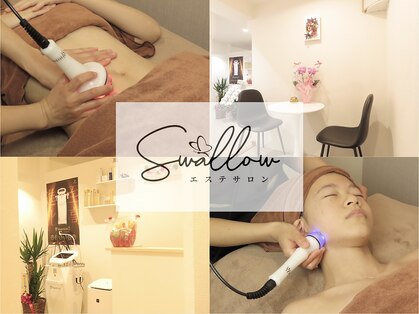 スワロウ(swallow)の写真