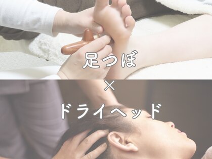 レディーバグ(Lady BUG)の写真