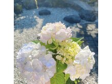 和の癒し空間で幸福感たっぷりの時間を♪