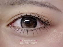 ウォルトウキョウ 渋谷(WOL TOKYO)/【まつげパーマ】上下