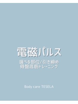 テセラ(TESELA)/【電磁パルス】