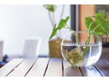 カイロプラクティック美癒館の雰囲気（清々しく落ち着いた雰囲気で均衡の取れた身体へ。ペア施術も可。）