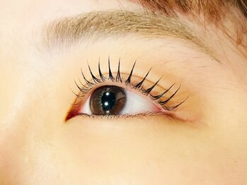 リファイン(Refine)/