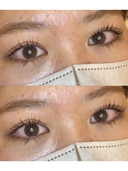 アイラッシュプラン リノ(eyelash plan RINO)/韓国風パーマ