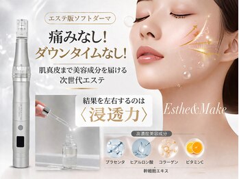 トータルエステサロン エステアンドメイク 錦糸町の写真/次世代美容エステ版ソフトダーマ×光フェイシャル♪毛穴レス/ハリツヤUP!最新技術＆プロの施術で肌質改善◎