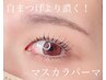 【ご新規様限定】韓国式☆パリジェンヌラッシュリフト＋まつげティント¥5530