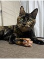 モモイロ(momoiro)&nbsp;猫と暮らしてます♪特に【サビ猫】が好きで猫中心の生活してます