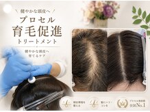 アベニール(AveniR)