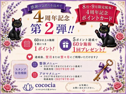 ココシア(cococia)の写真