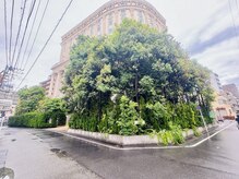 アンス(Ance)/湘南迎賓館さんのすぐ裏手☆