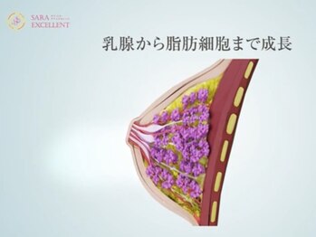 サラエクセレント 新宿(SARA EXCELLENT)/《バストアップ》