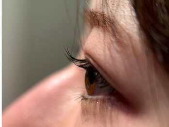 ハウオリ 高津 溝の口(Hauoli)/ラッシュリフト/まつ毛パーマ