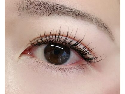 オマロ(Omalo.)の写真