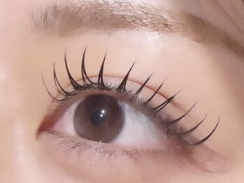 ゼシール(Ze seal)/フラットラッシュ120本