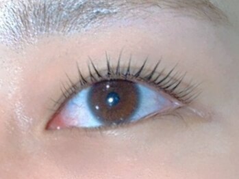 ユニ ラッシュ(Uni.Lash)の写真/初めての方にオススメ◎プチプラで毎月通えるアイサロン【ユニラッシュ徳島店】で理想の目元に！
