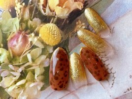 【オフ無料・ケア込】定額4500円