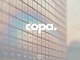 コパ(copa.)の写真