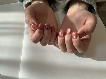 マグネットワンカラー