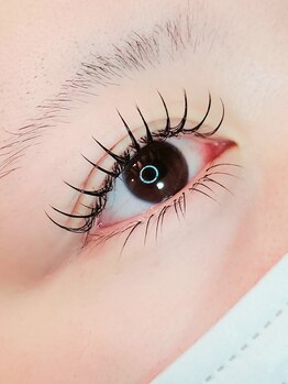 セレビアイ 立川店/led/マツエク/束感/フラット