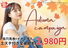 パールプラス 小牧店(Pearl plus)