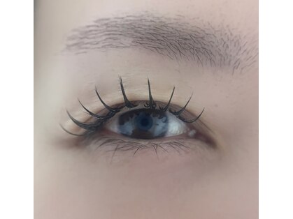 リノア(Linore)の写真