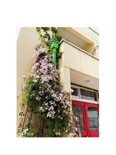 ベリンダ(BELINDA)/本格手技×こだわり商材使用！