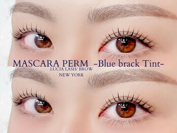 ルシアラッシュブロウ 新宿(LUCIA LASH BROW)/【韓国で話題マスカラパーマ♪】