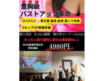 ビービリア(B.villea)