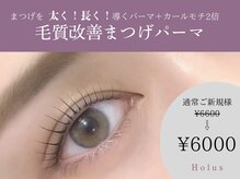 ホルス 泉大津店(Holus)