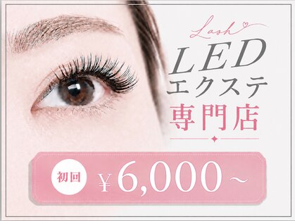 シュシュ(Chouchou)の写真