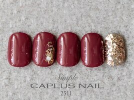 ■シンプルプラン■ 2511