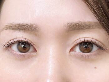 リプリ(RePuli)/フラットラッシュ100本