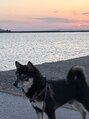 ビーキュート 神戸元町店(BE-CUTE)&nbsp;愛犬でございます。