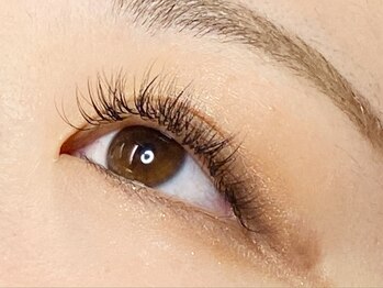 ウルカ アイラッシュ(uruka EYELASH)/フラット80本+ボリュ-ム40束