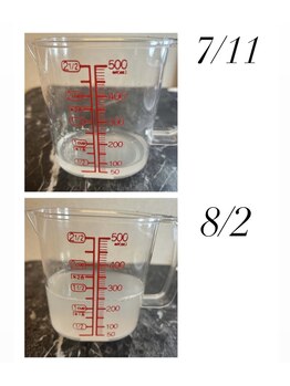 フェミニー(Feminy)/デトックス汗回収！排出力up中！