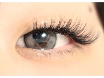 プレモ(Premo)/バインドロック120束