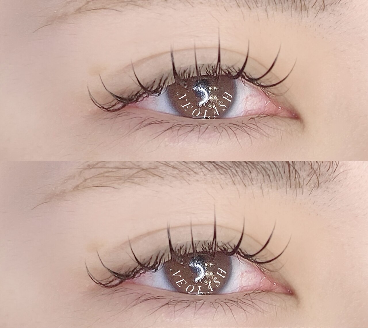 ネオ ラッシュ(NEO LASH)｜ホットペッパービューティー