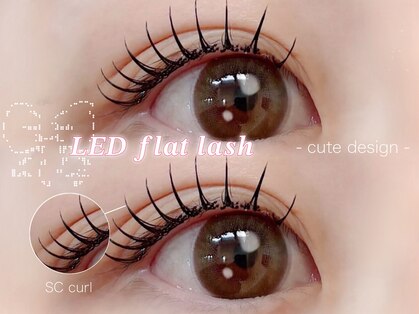 カクテル(COCKTAIL)の写真