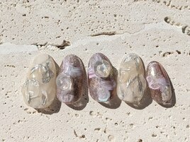 【3月】ニュアンス定額♪